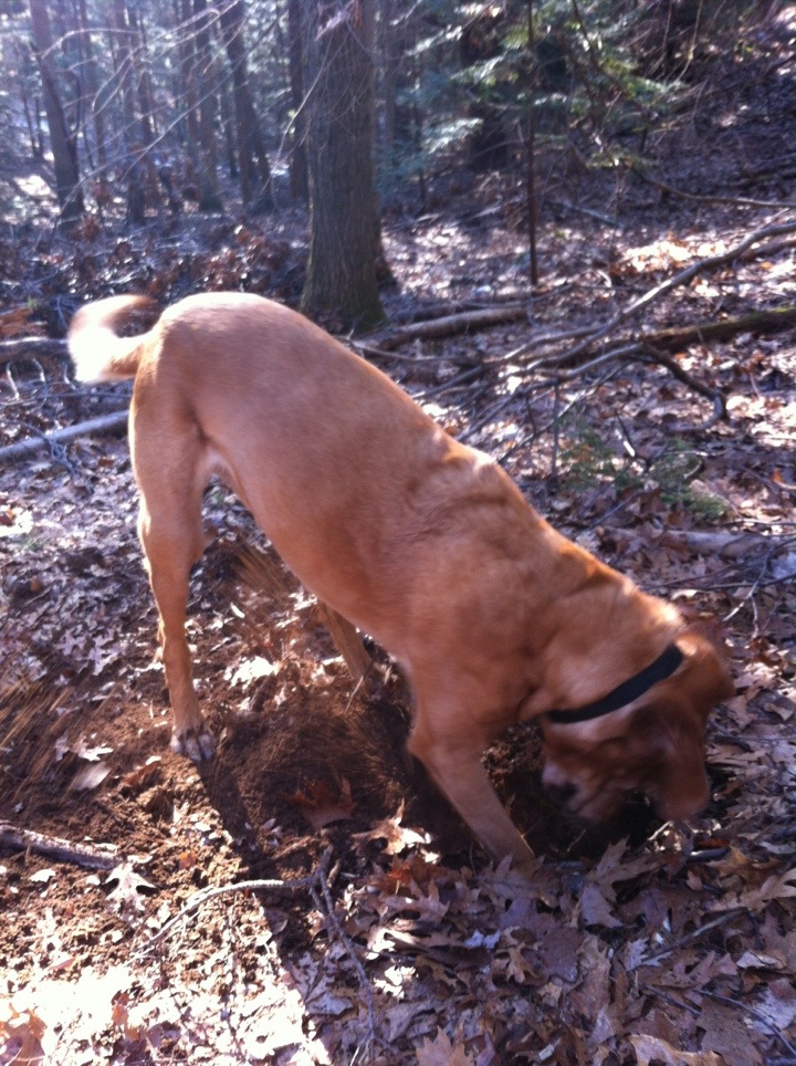 20120311-095025.jpg